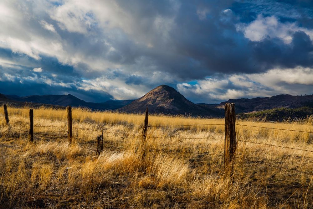 Sierra Valley, CA, Landscape, Graeagle, Art, Wall Art