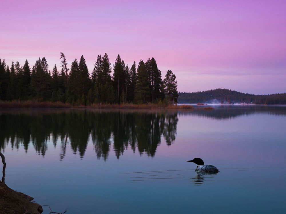 Lake Davis, CA, Landscape, Graeagle, Art, Wall Art