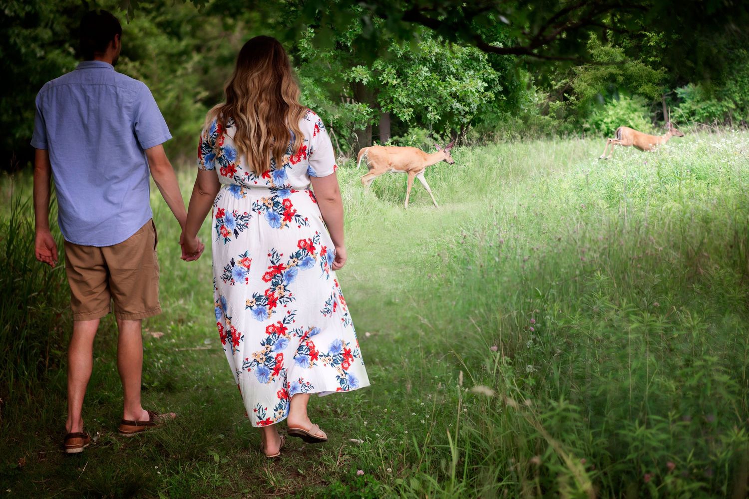 Natural Field Deer walking at an engagement session in kalamazoo