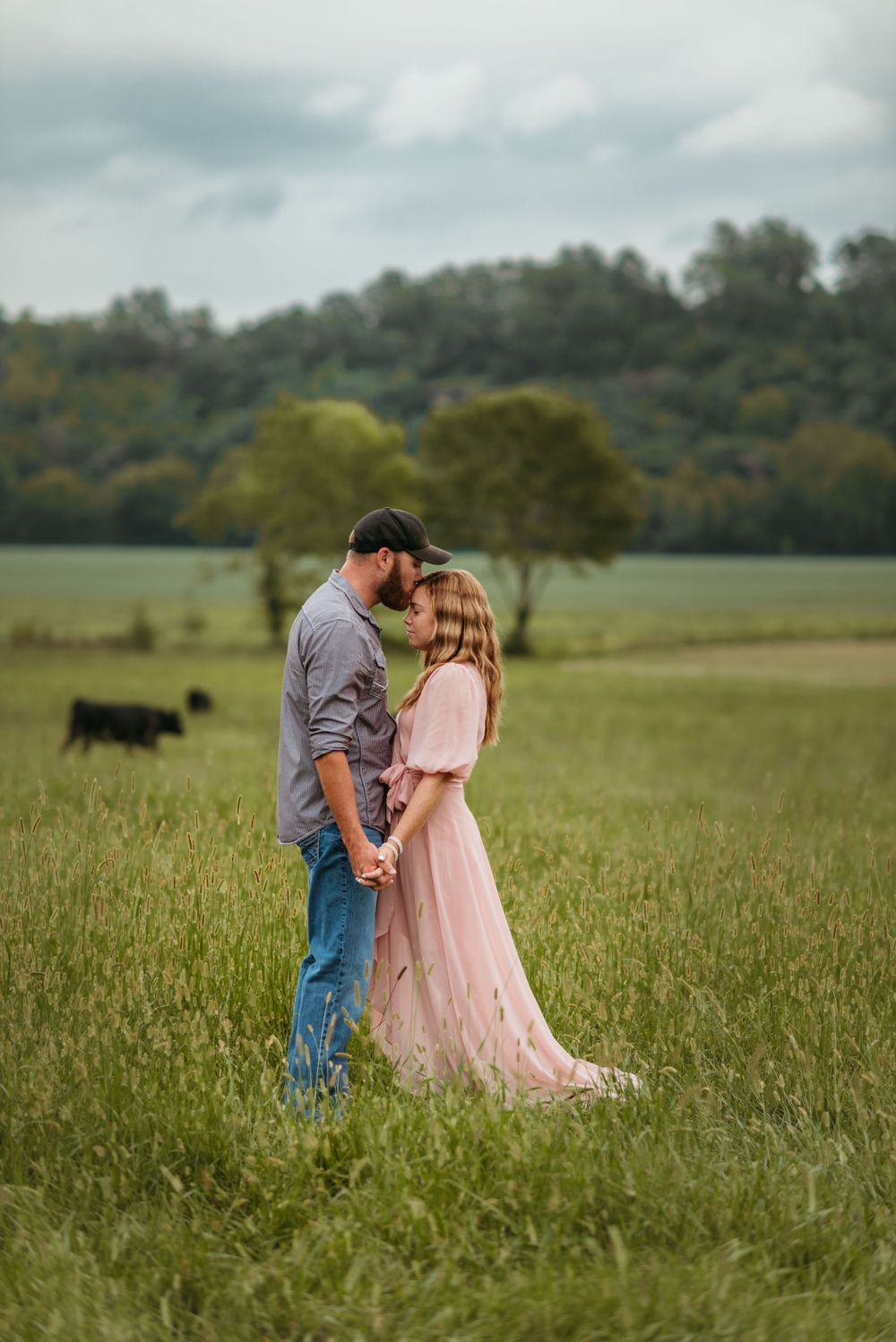 A romantic couple embraces in a misty field with cattle grazing in background.