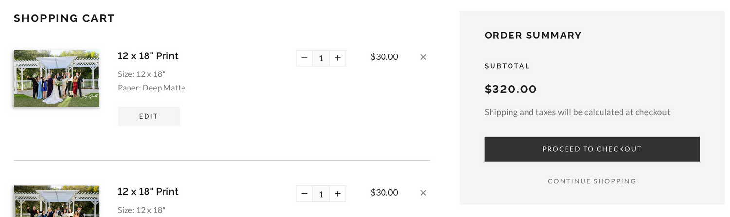 Shopping cart showing two quantity selectable items with thumbnail images and an order summary total