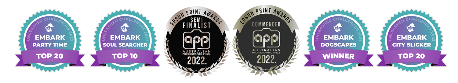 Helen Green award winning dog photographer Geelong list of awards
