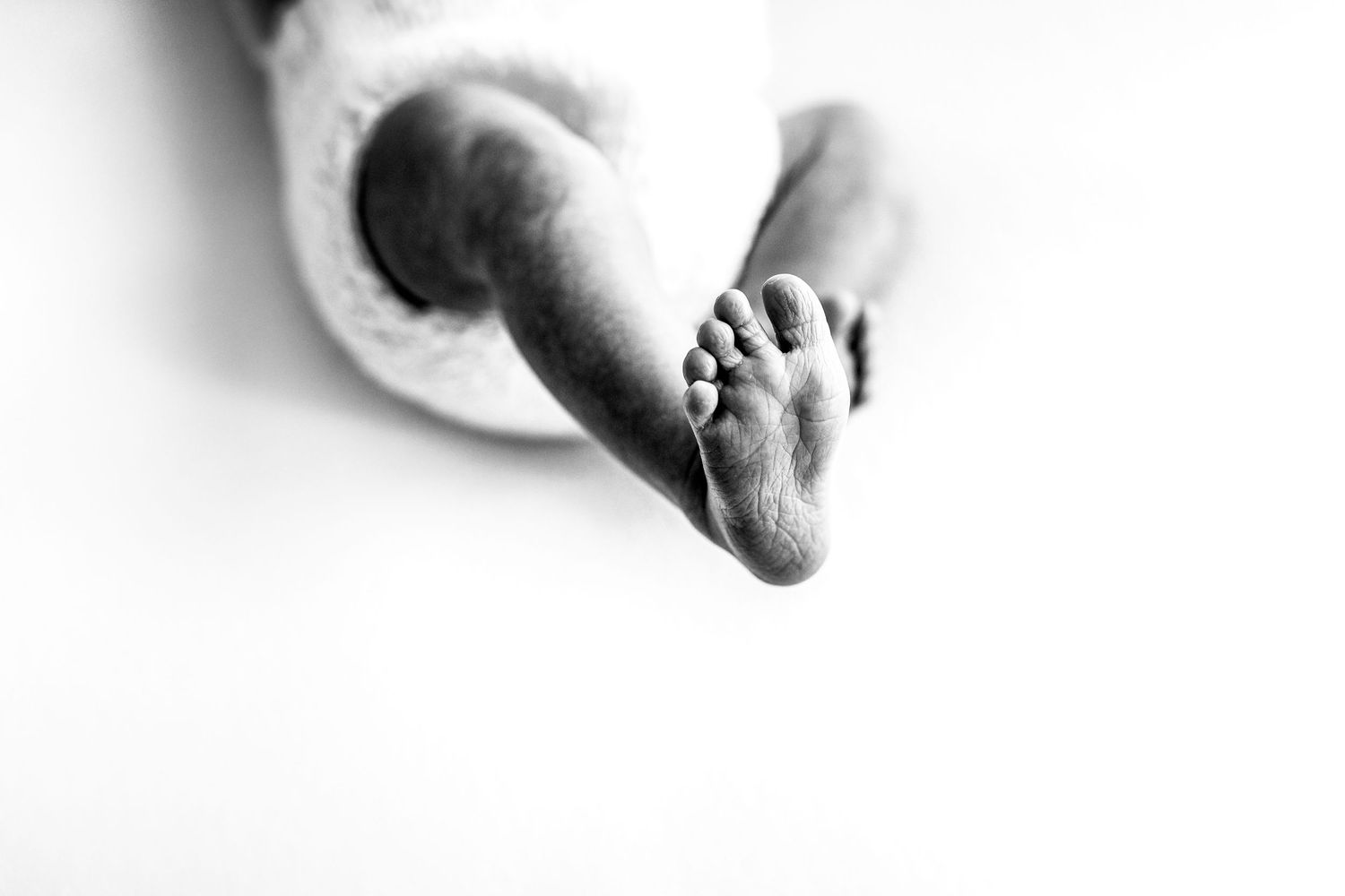 Artistic black and white photograph of a tiny baby foot against a white background.