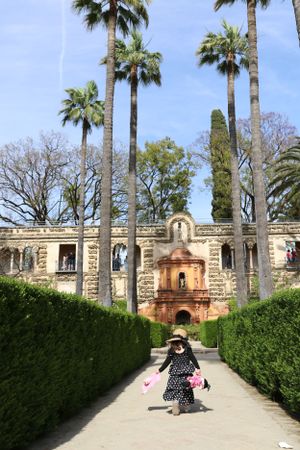 A scenic walkway with tall palm trees and hedges leading to a historic stone building with Spanish-style architecture.