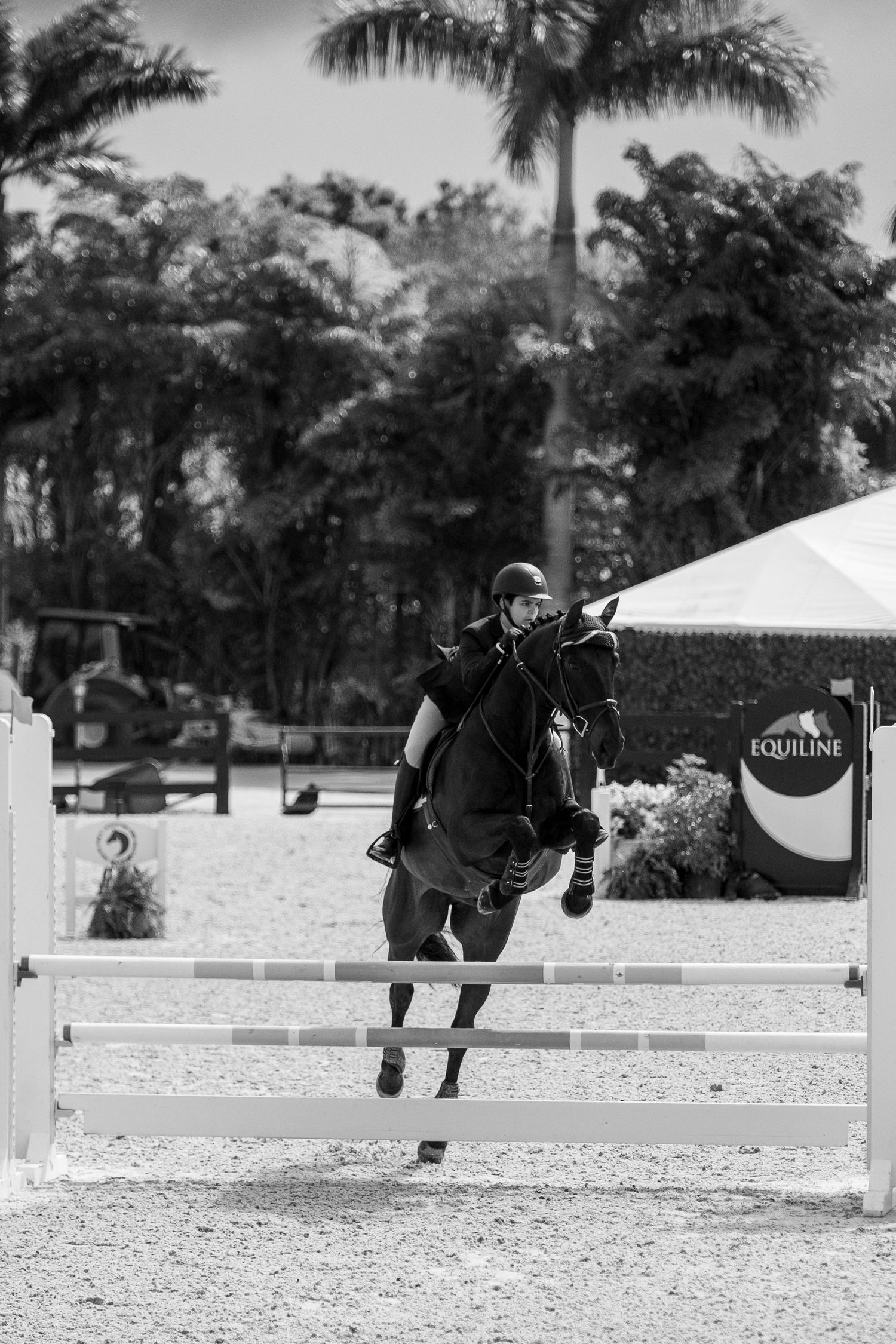 Sports Photography Example