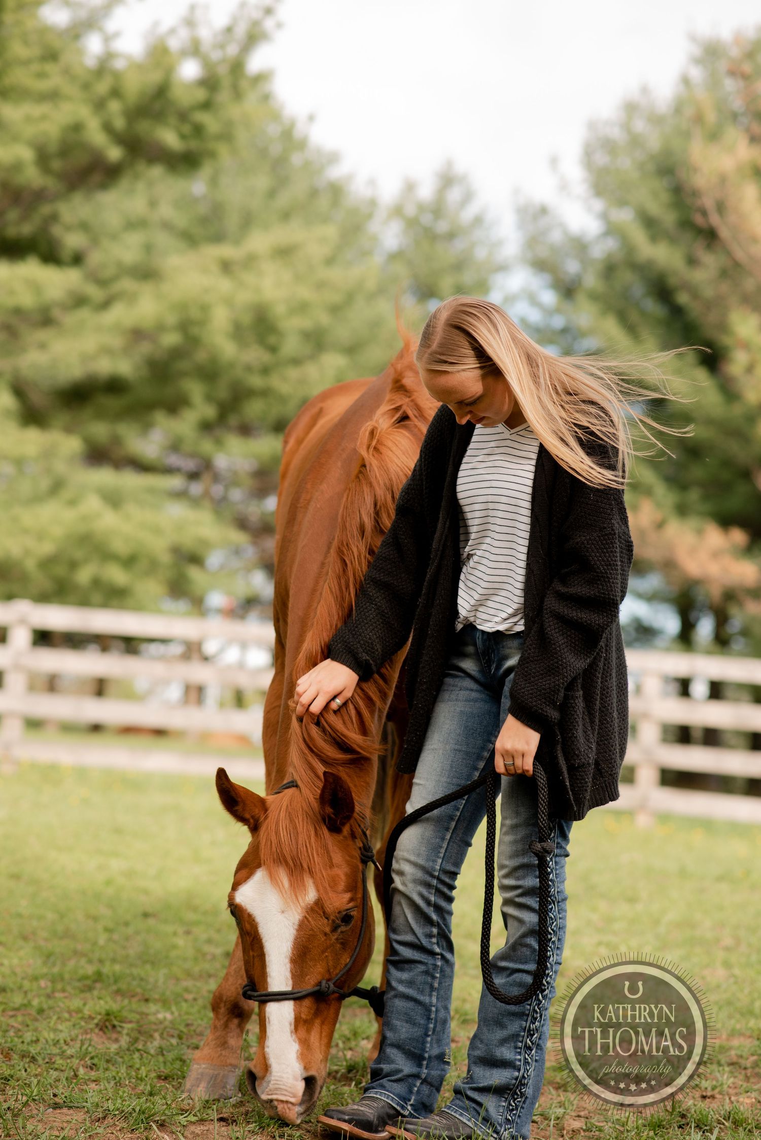 A chestnut horse grazes while being accompanied on a fall day in a fenced pasture.