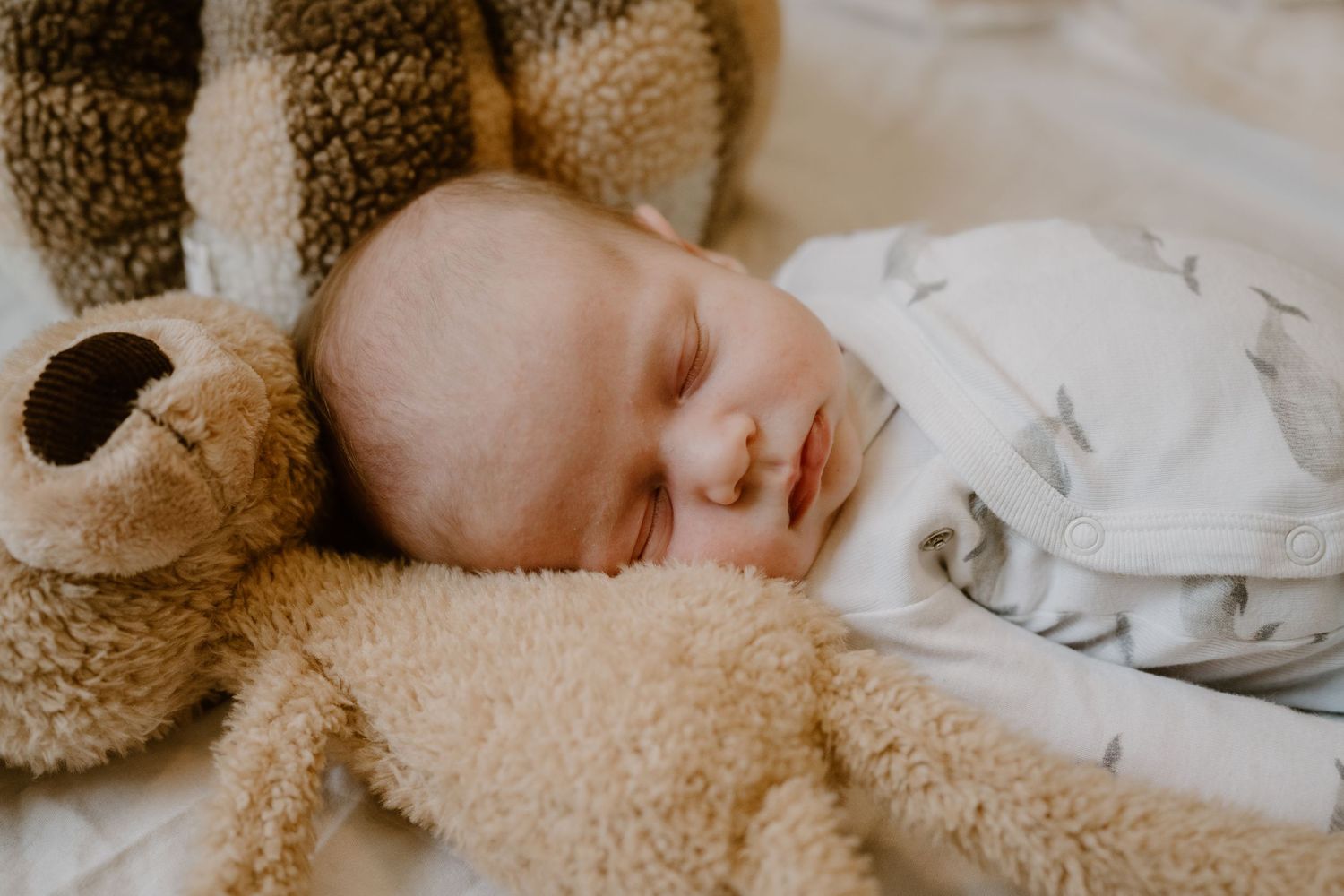 Johnson City Photographer, photography near me, johnson city, elizabethton tennessee, newborn photographer, Fall Branch