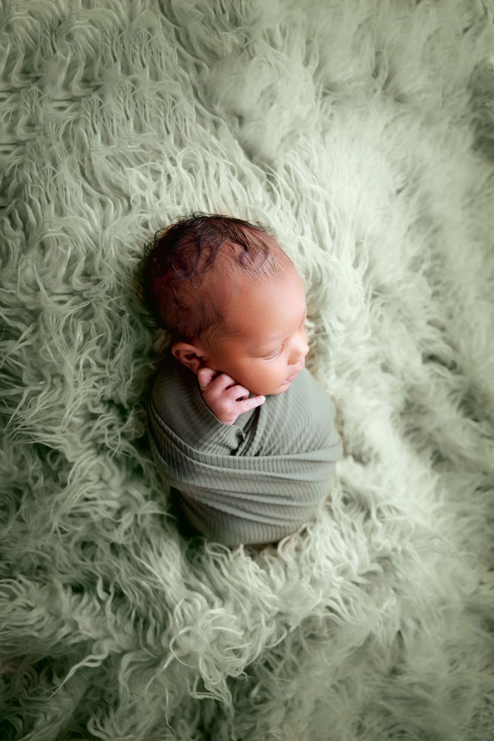 LaFollette Tennessee Newborn Photographer