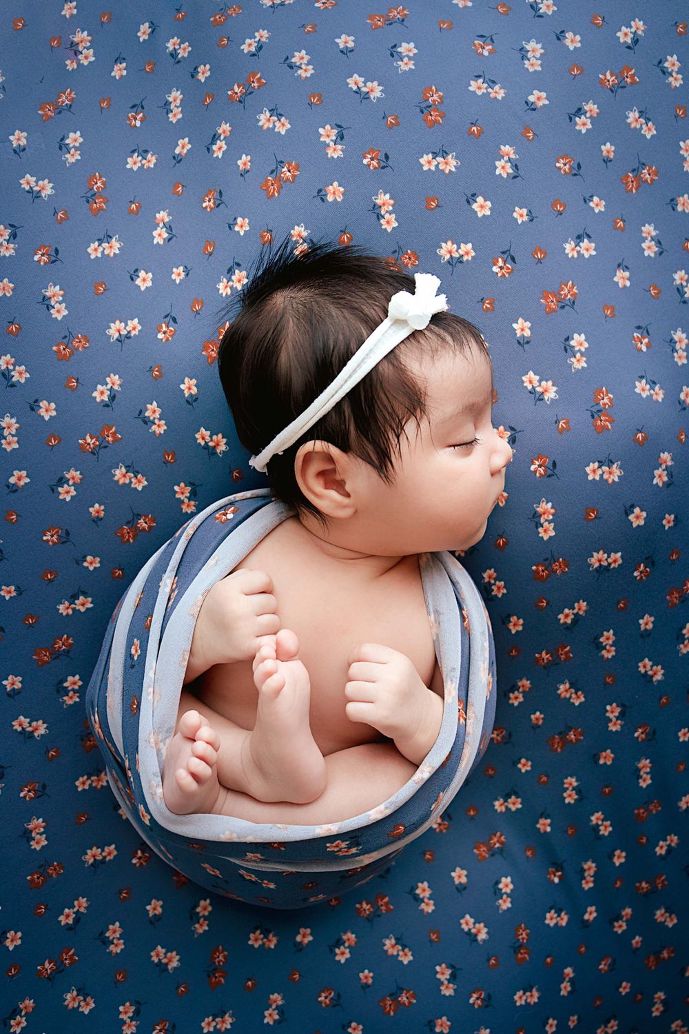 St Louis Illinois Newborn Photographer