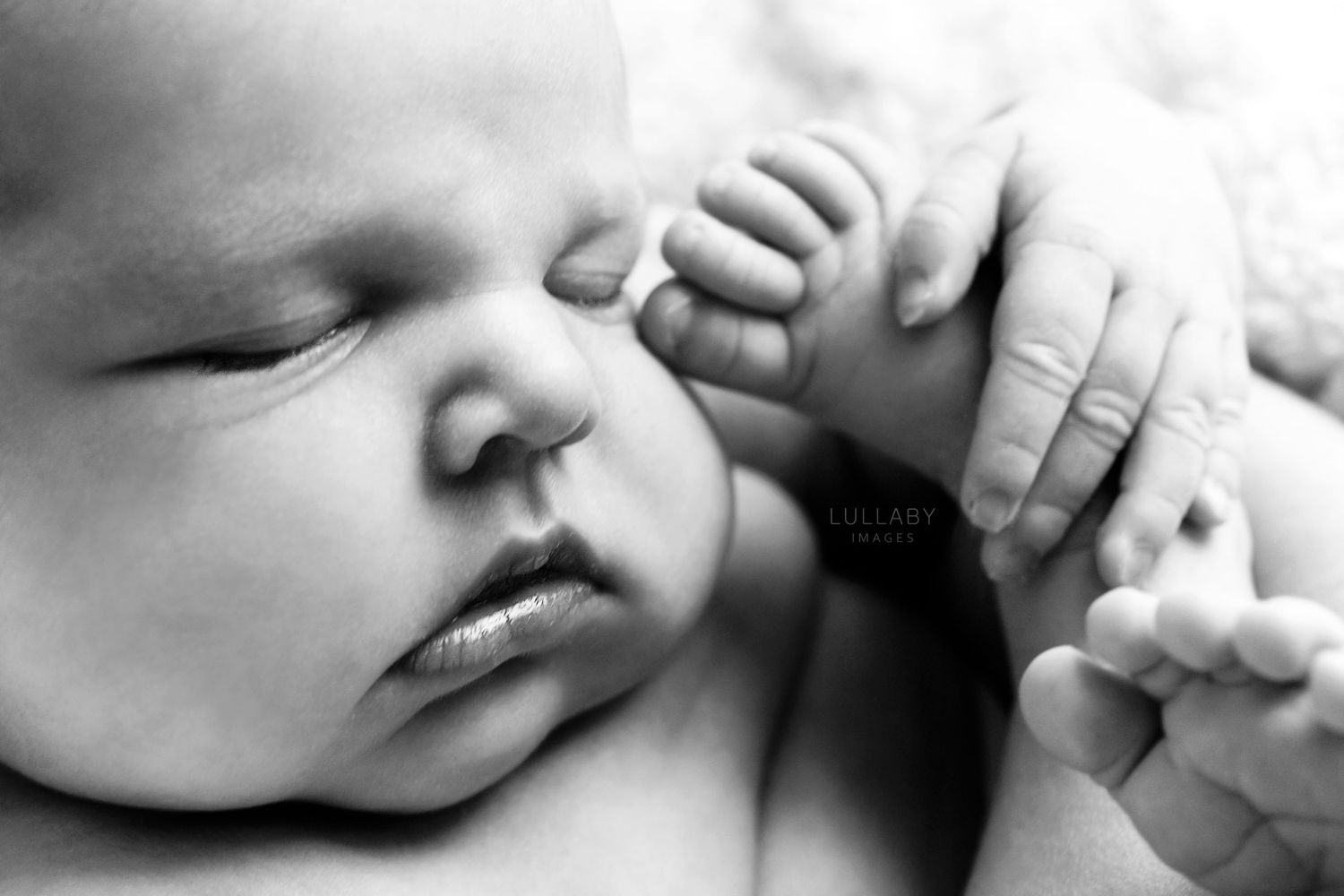 Hong Kong newborn baby photographer Lullaby Images