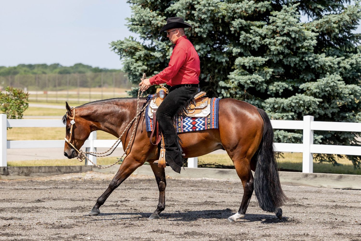 Ludington, Michigan with Dalton Performance Horses