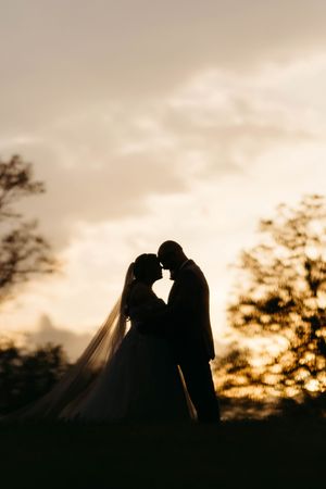 Romantic silhouettes of a couple against a golden sunset sky with trees in the background. Middle TN wedding photographer