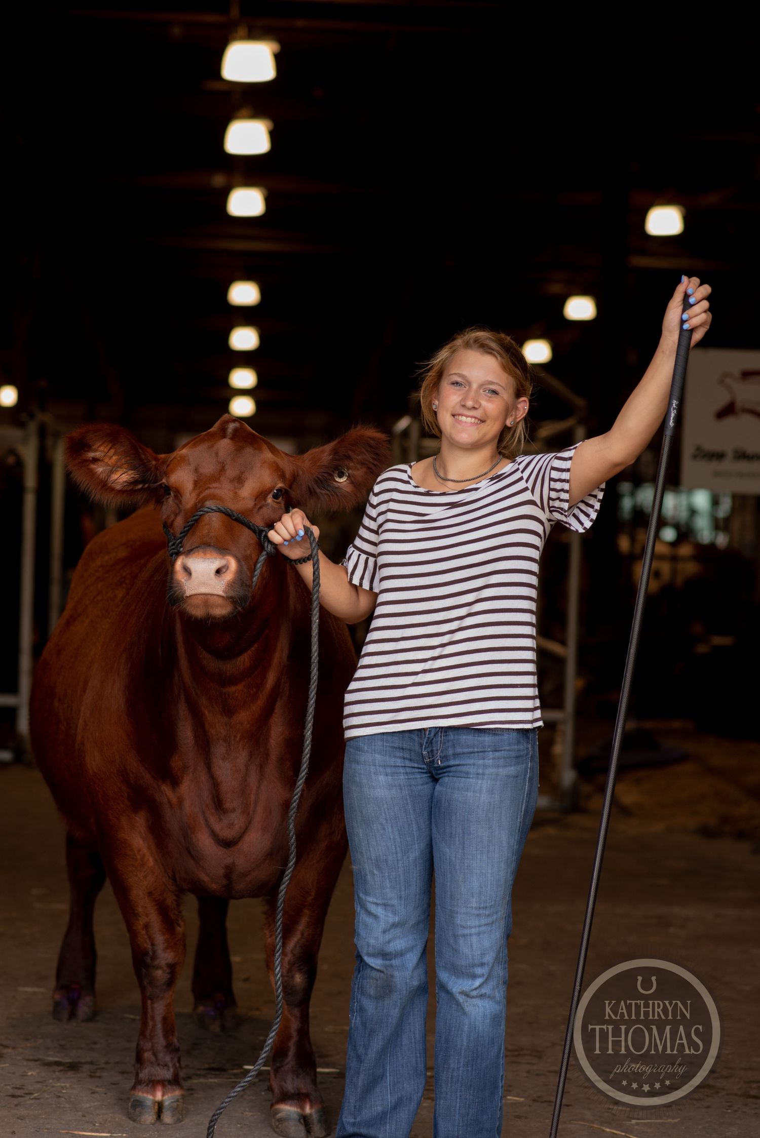 A person in a striped shirt stands next to a brown show cow in a barn with overhead lighting.