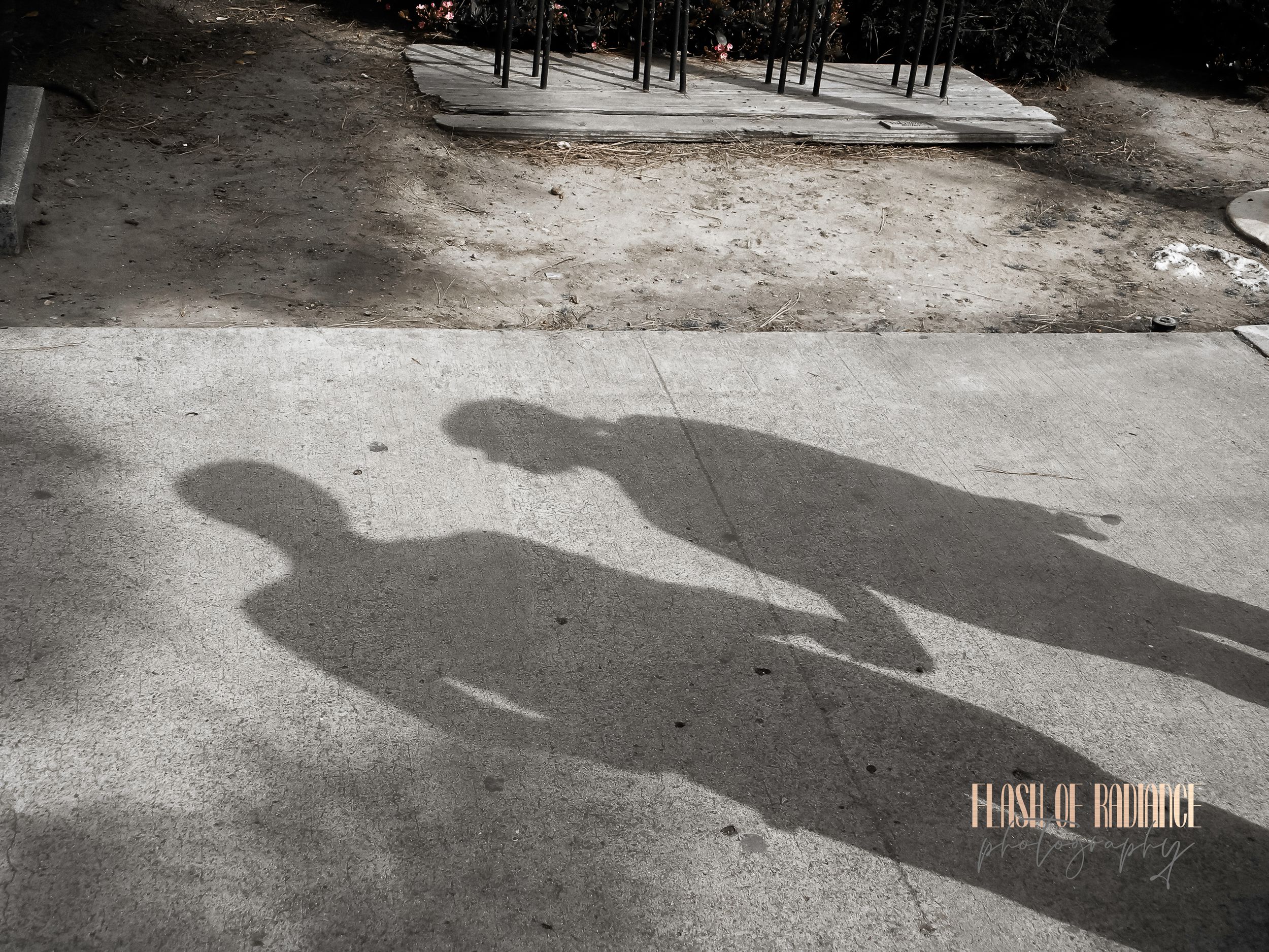 Engagement Experience - Flash of Radiance Photography