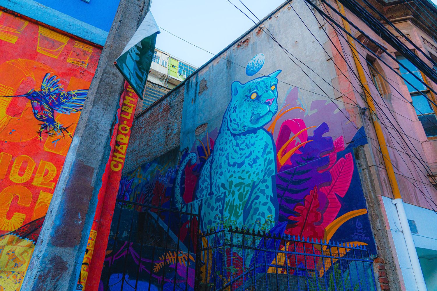 Val Pariso Chile street scene with mural of neon blue Jaguar and colorful humming bird in multi color jungle leafs