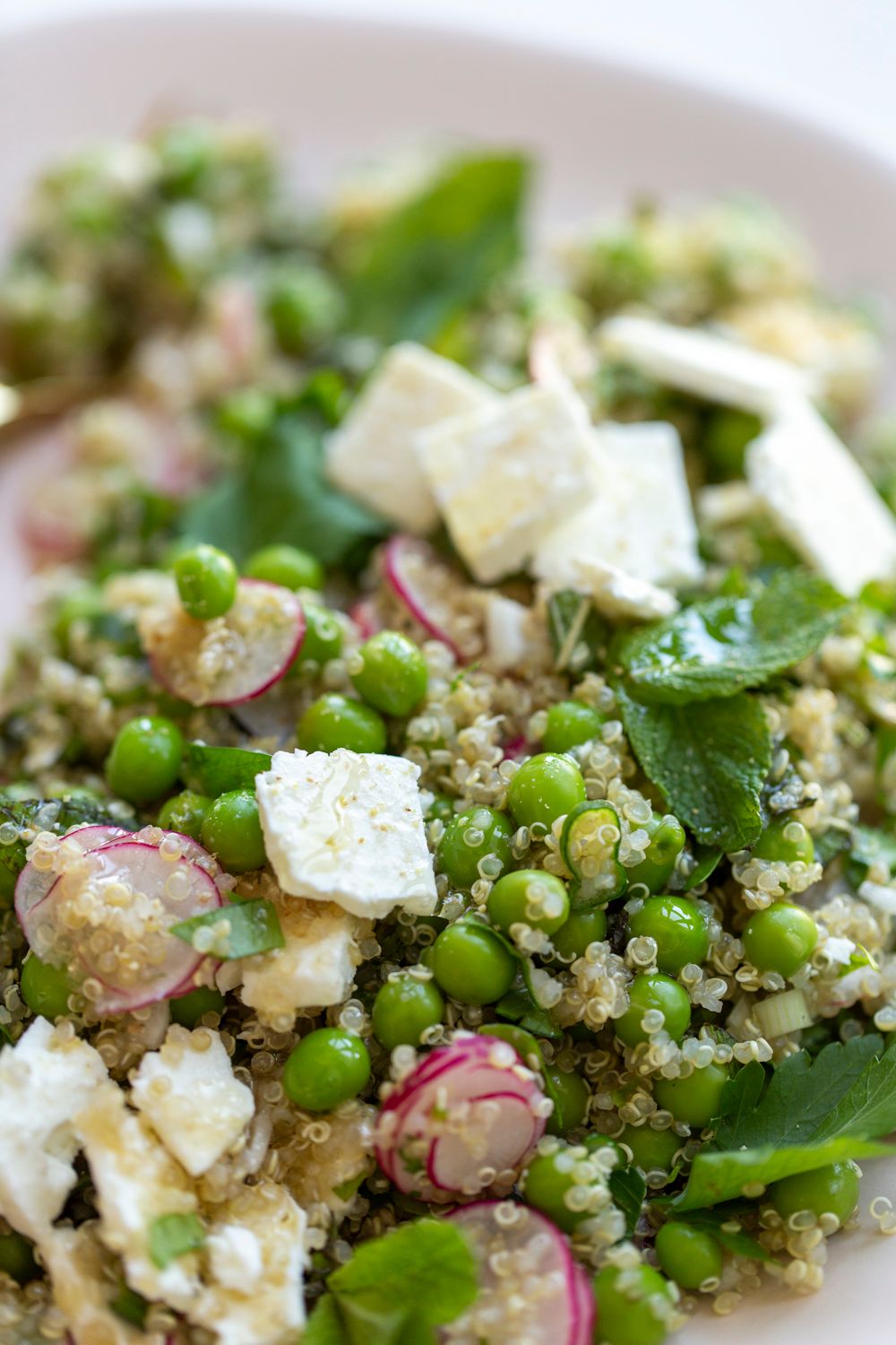 Healthy quinoa salad with feta cheese, peas, radishes and fresh herbs.