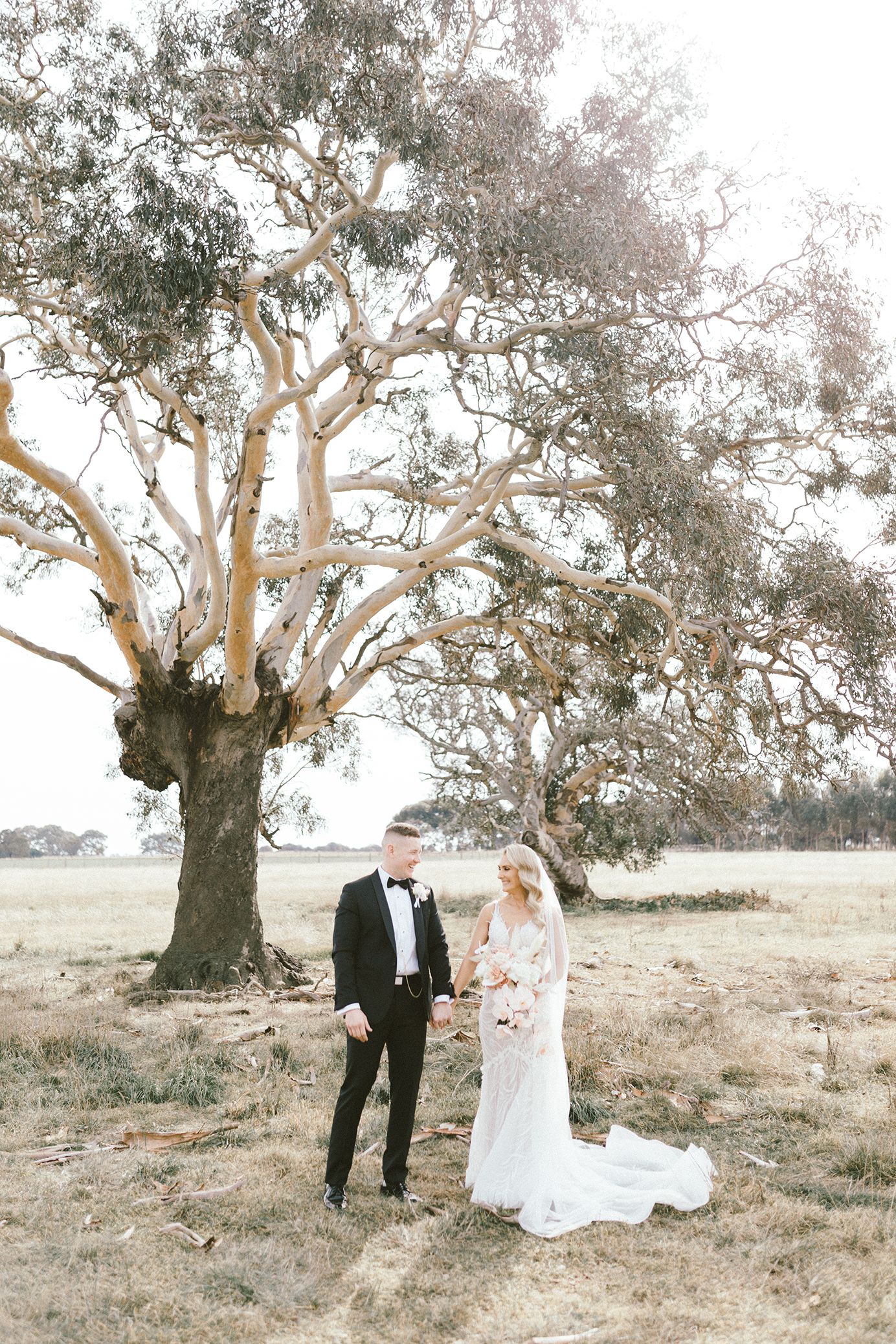 Ethereal wedding portrait beneath towering eucalyptus tree in Australian countryside.