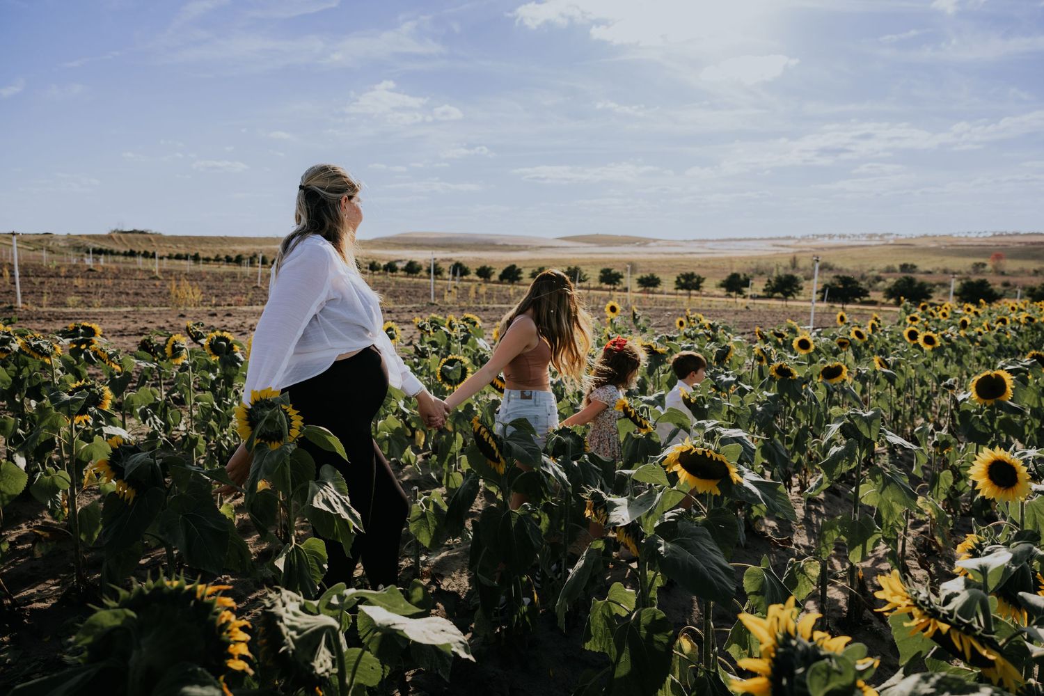 Sunflower Magic: Family & Couple Mini Photo Sessions at Southern Hill Farms in Clermont, FL