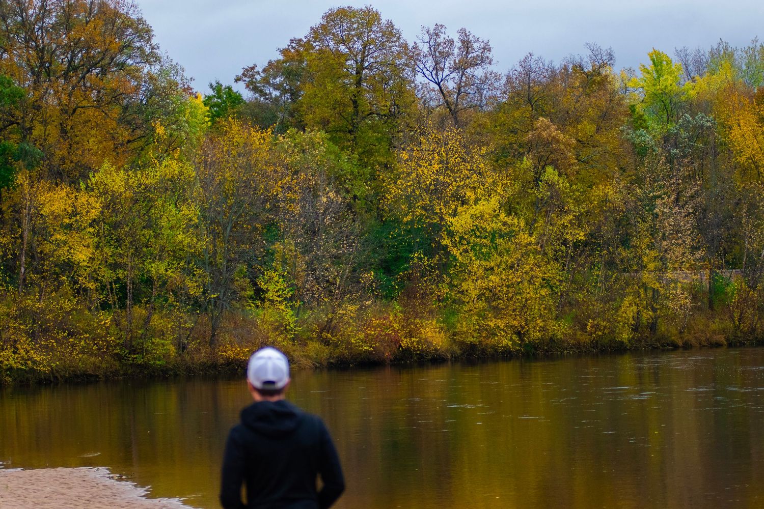 Autumn trees with golden foliage reflect in calm lake waters on an overcast day.