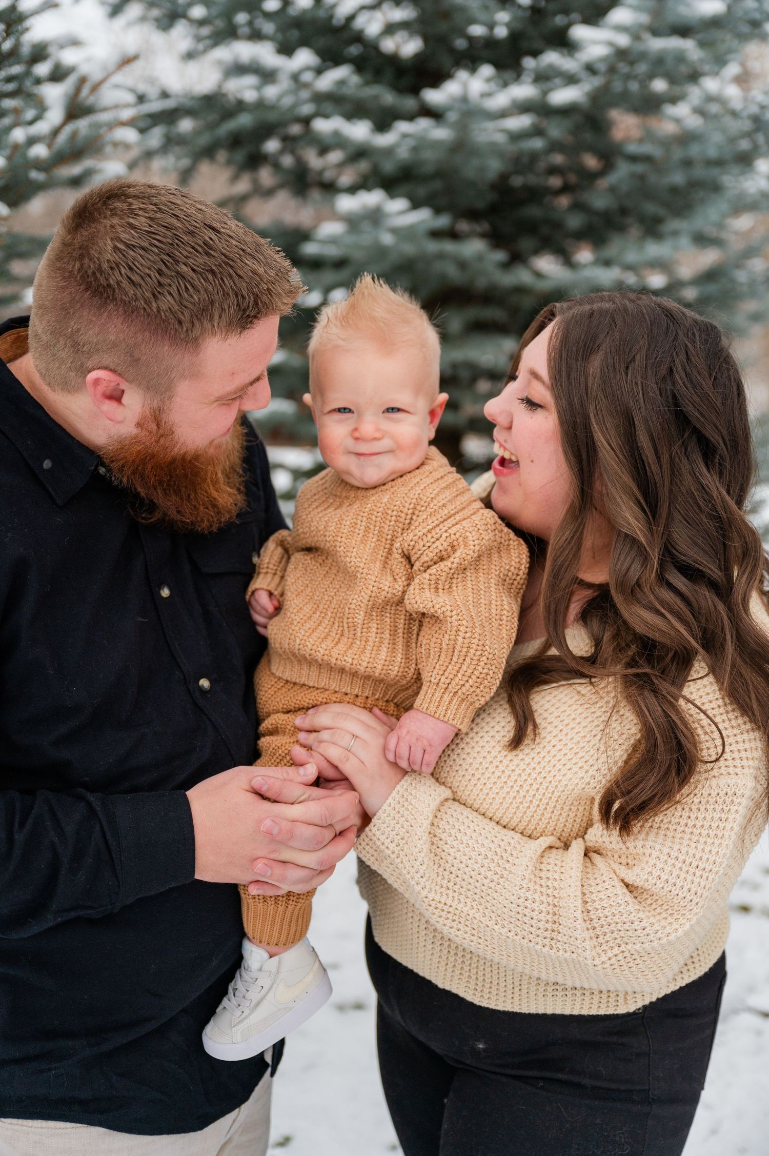 Winter family portrait with snow-covered evergreens featuring cozy knit sweaters.