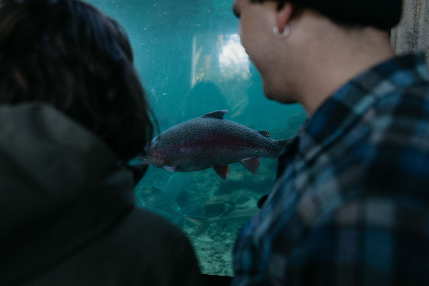 Two people watching fish swim in a large aquarium display.