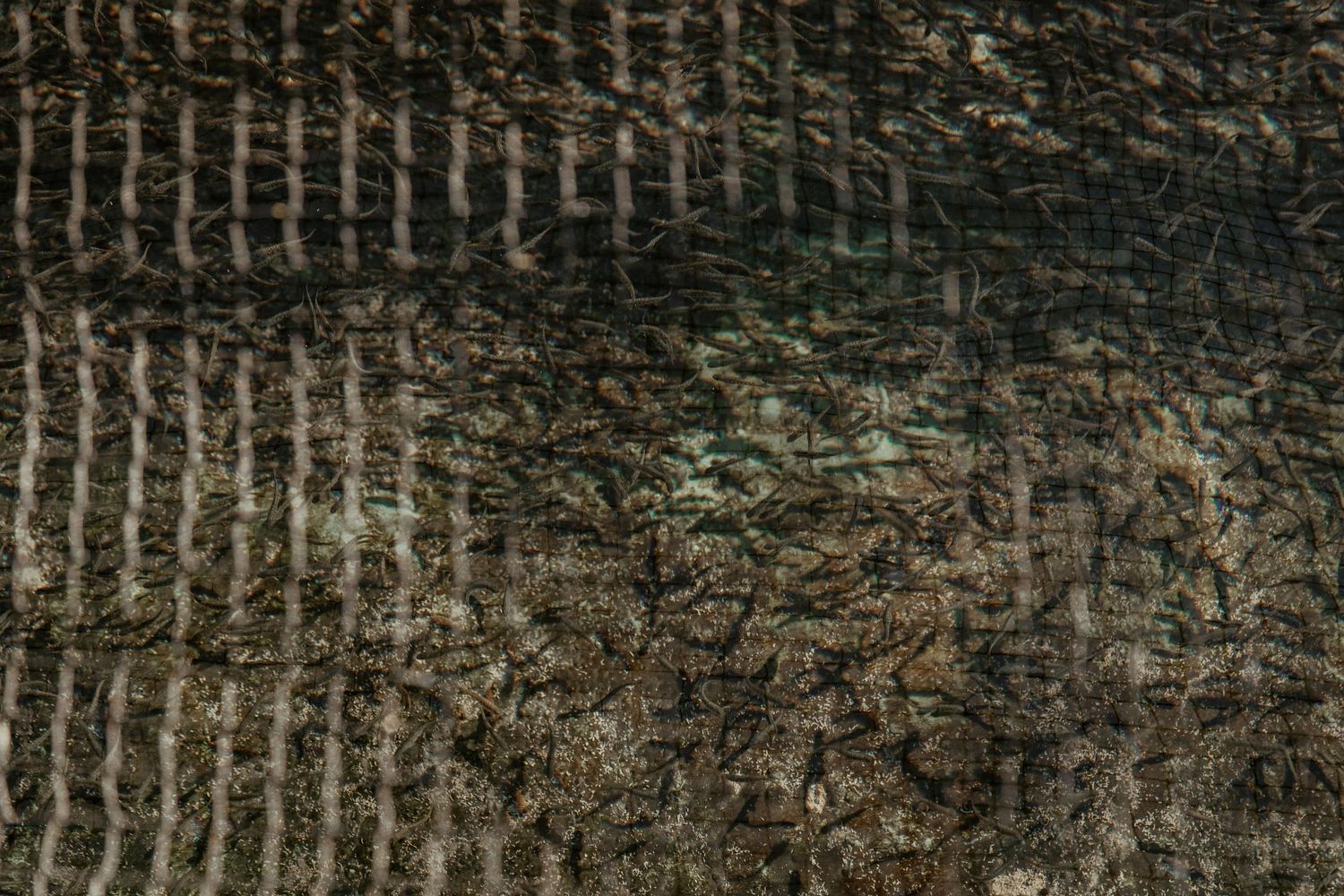 Close-up textural detail of a dark rough surface with linear patterns.