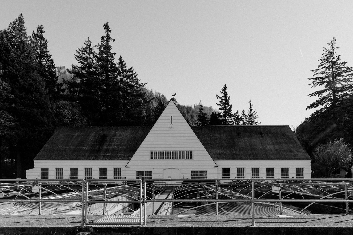 A-frame white barn building with multiple windows and dark roof surrounded by evergreen trees in black and white.
