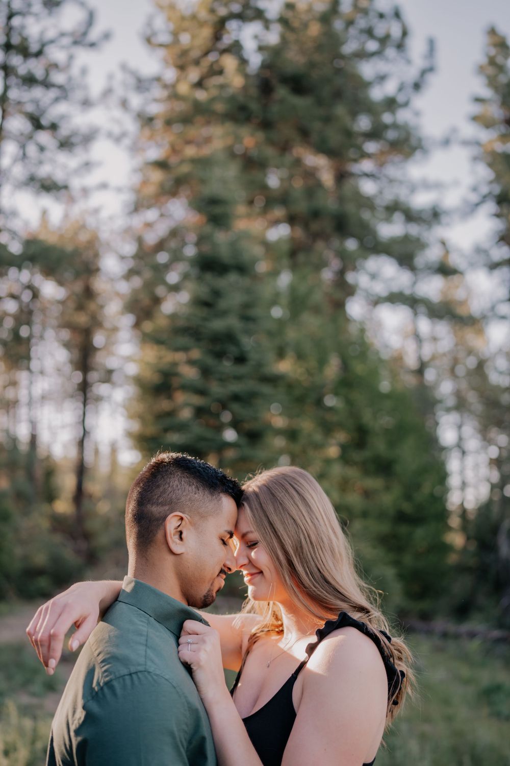 Romantic couple touching foreheads and embracing tenderly among tall pine trees at sunset.