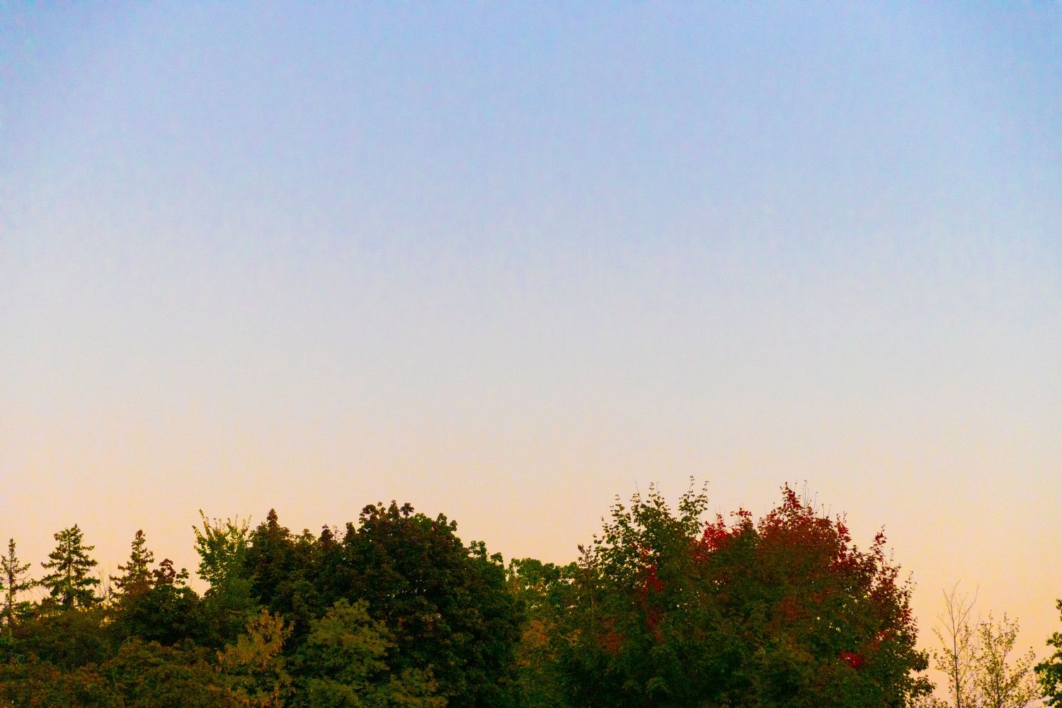 Buffer Landscape Photo