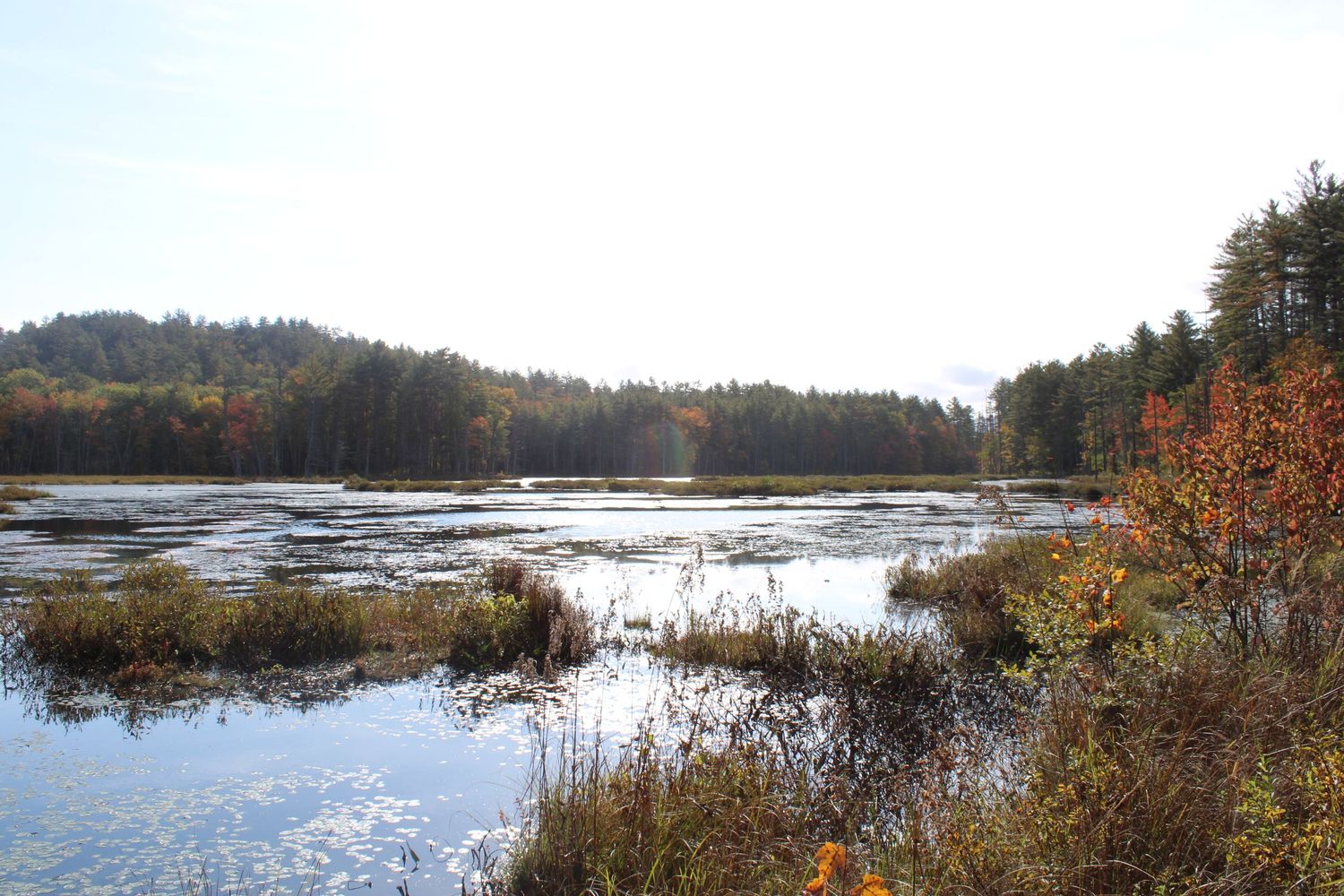 New Hampshire in the fall
