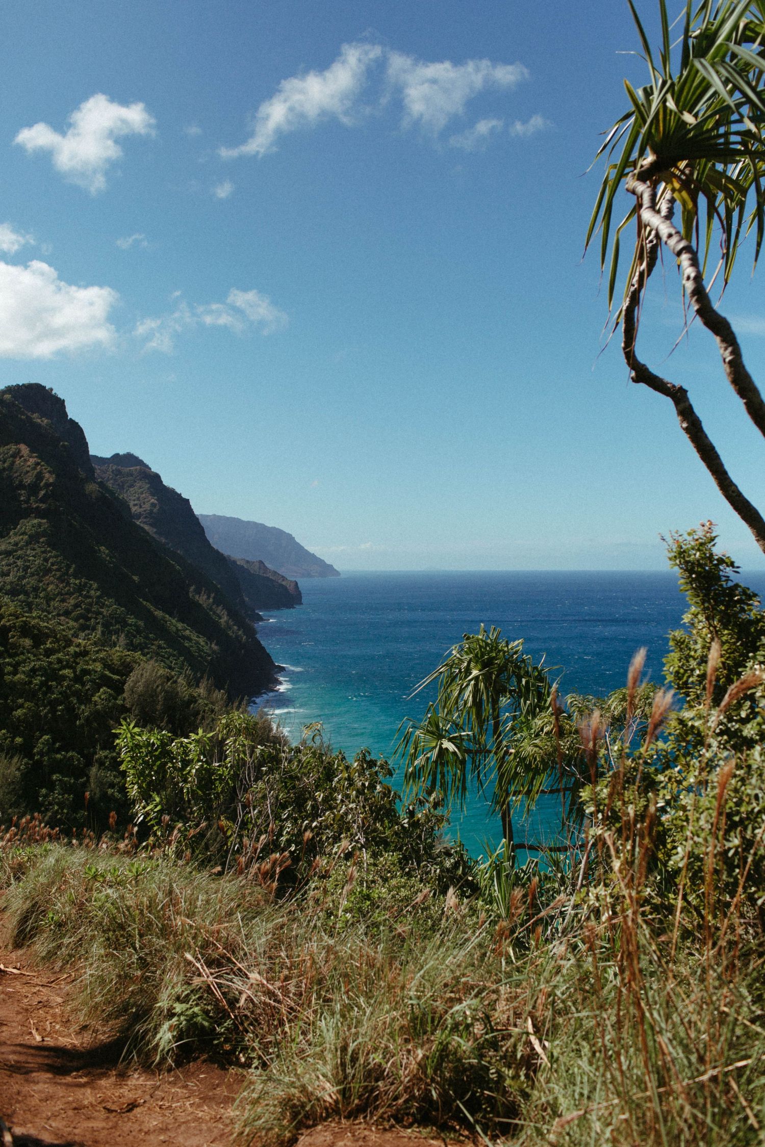 Kalalau Trail in Kauai, Ha'ena State Park beautiful coastline and blue waters in Hawaii