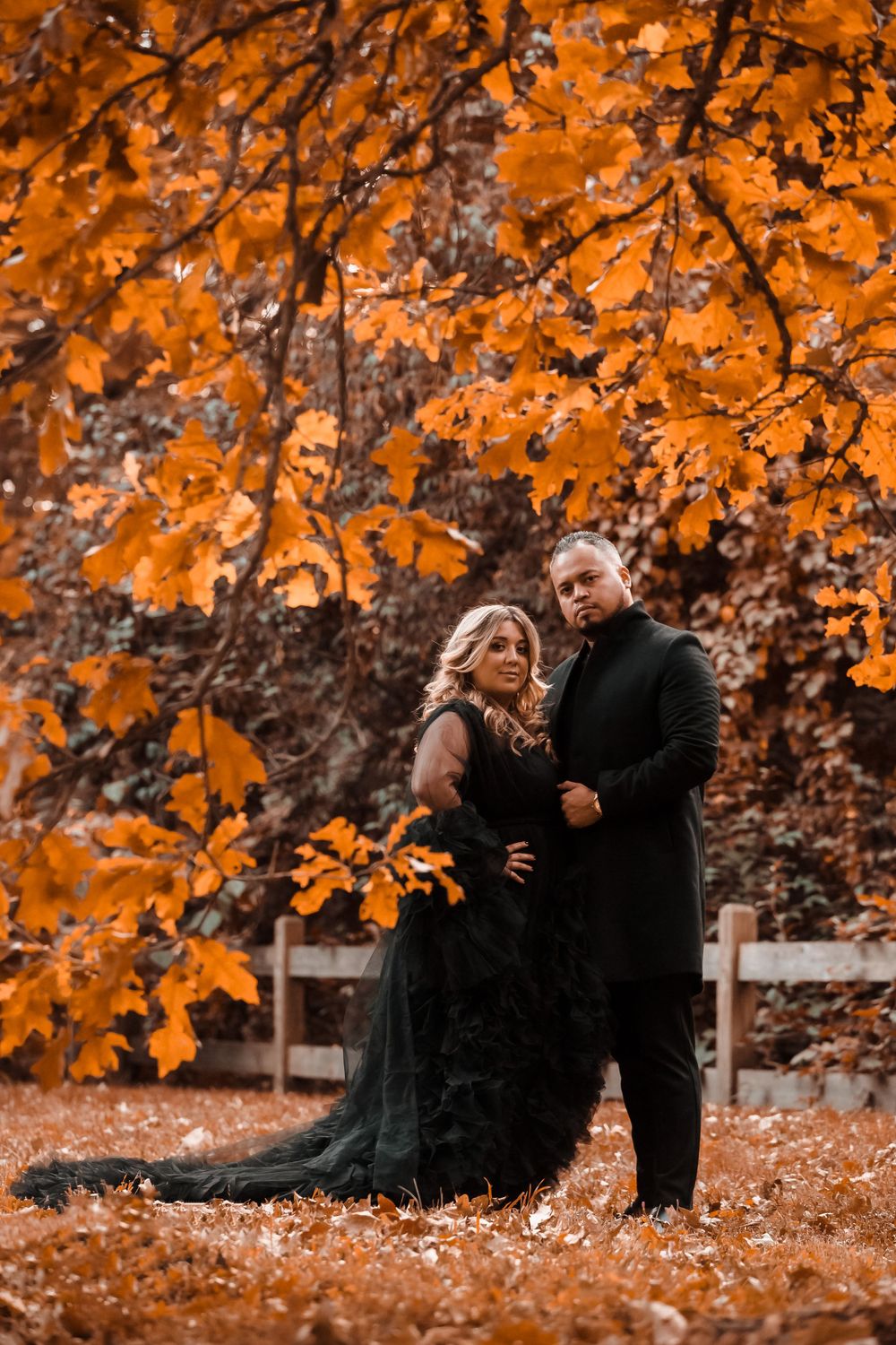Romantic Engagement photography at Arnold Arboretum  Boston Massachuttres