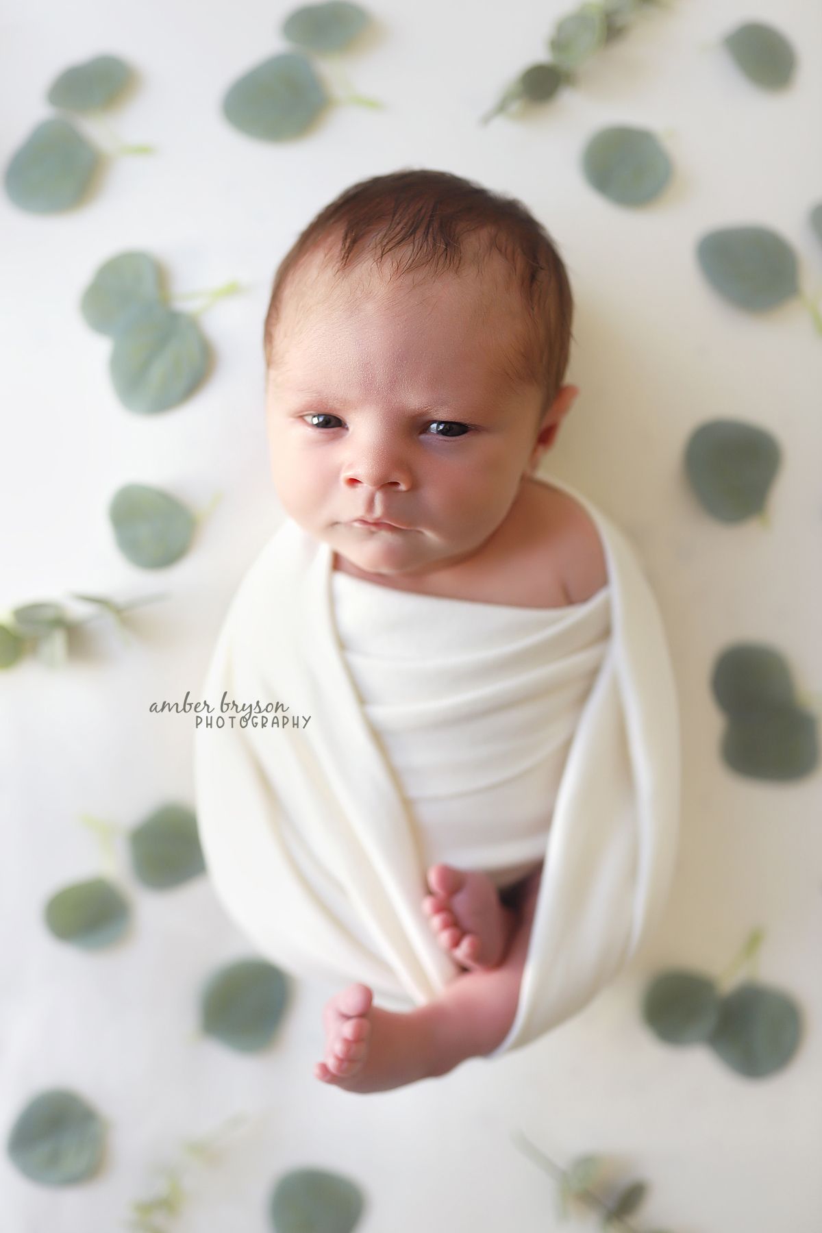 Baby wrapped in white cloth posed with scattered eucalyptus leaves on white background.