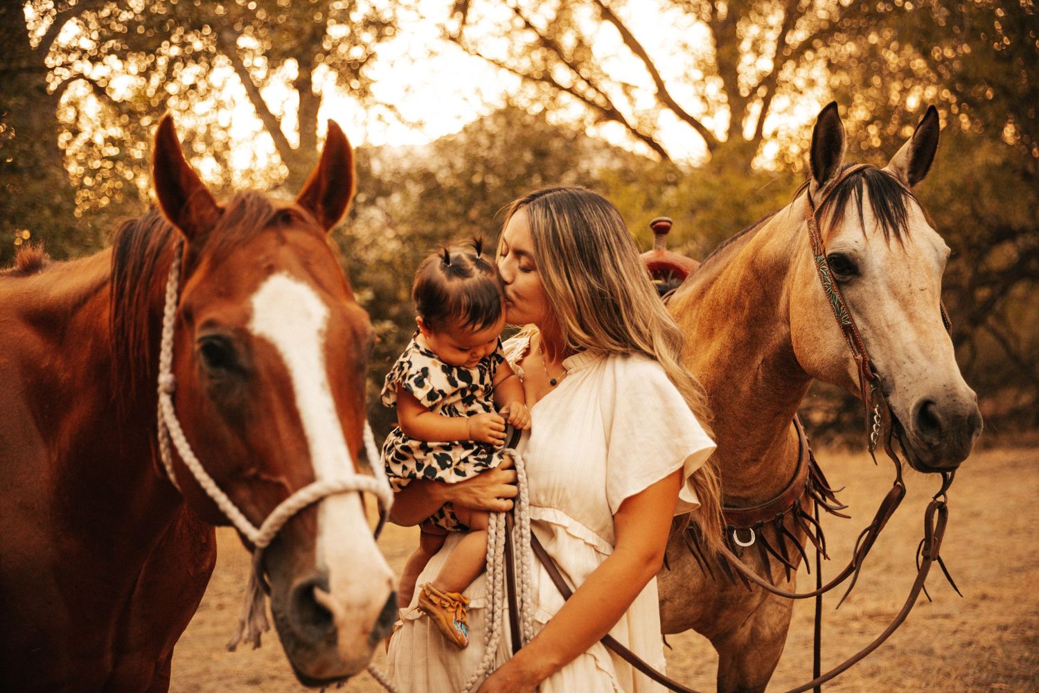 horses photographer Washington western