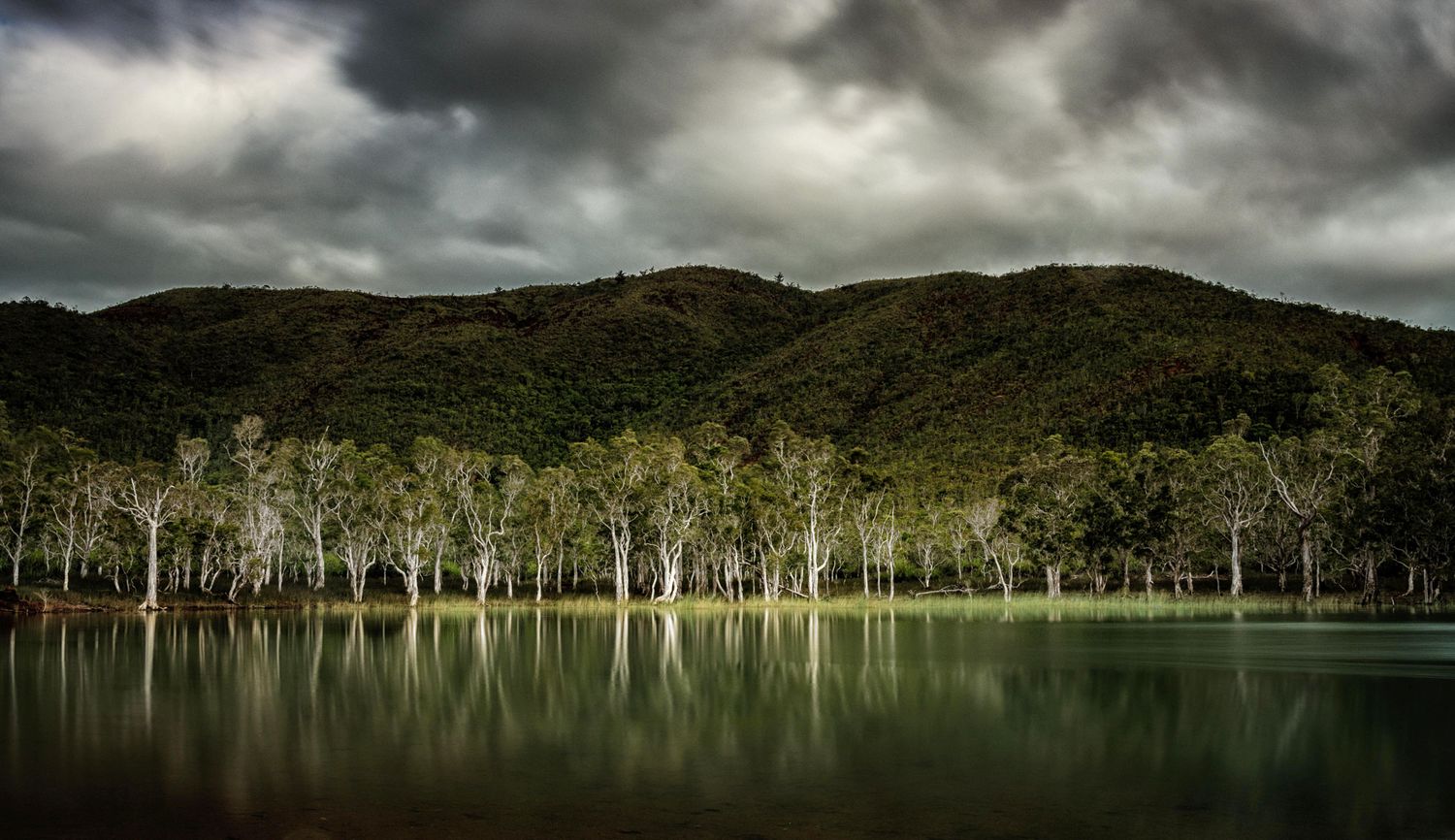 Forêt noyée, paysage, Calédonie
