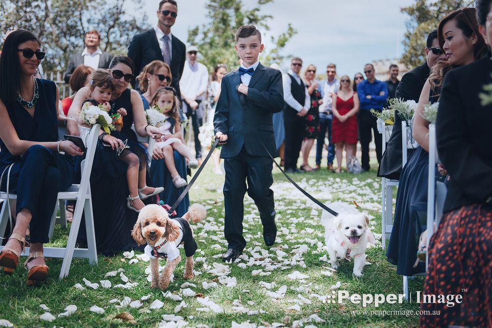 Tarpeian Lawn Wedding in Royal Botanic Gardens by Pepper Image