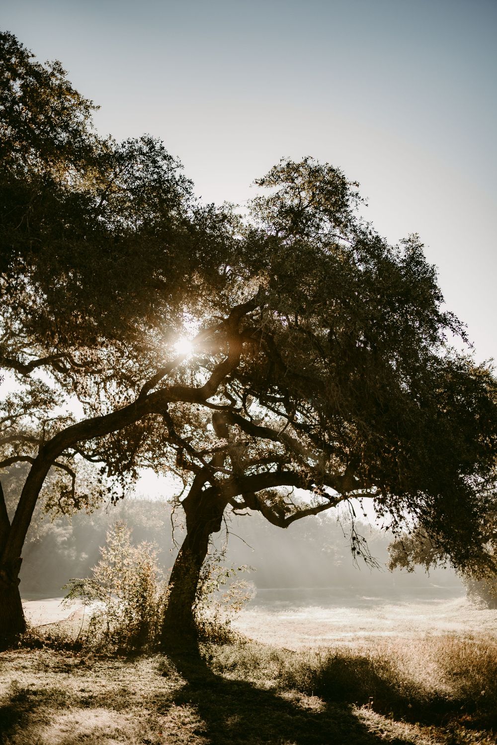 Katy Montoya Photography - Kenedy, Texas Photographer - San Antonio, Texas Family Photographer