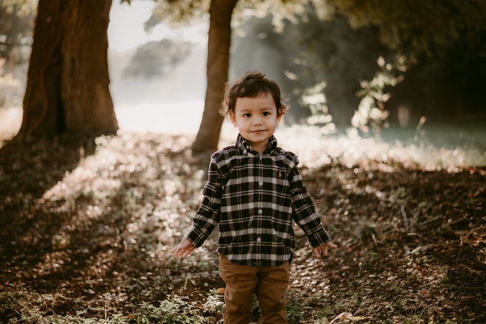A toddler in plaid flannel and brown pants standing in a misty forest setting.