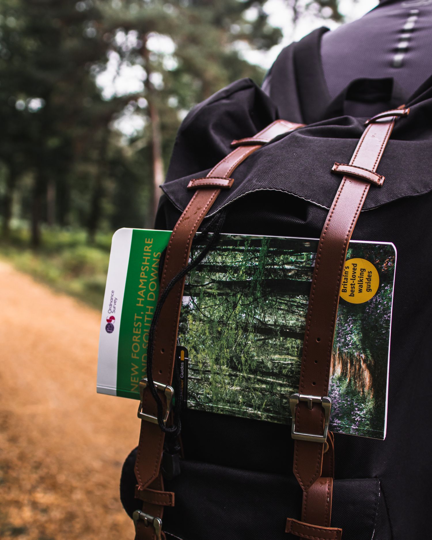 rucksack on new forest walk