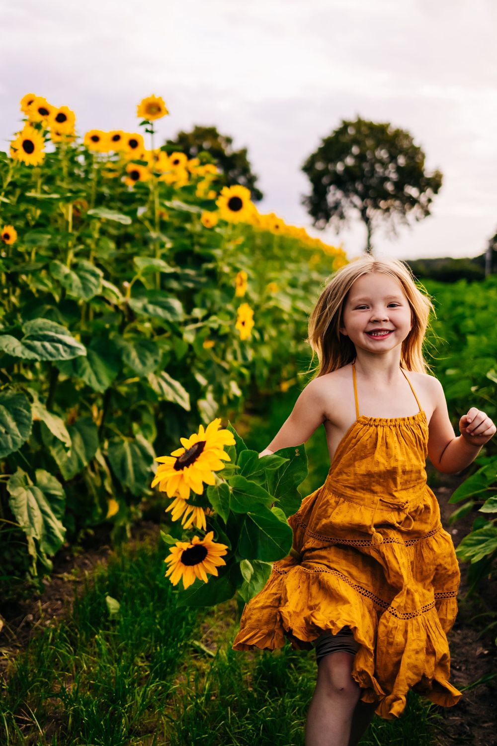 A joyful dance in a yellow dress among towering sunflowers on a sunny afternoon.