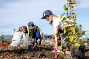 Volunteers working together planting in a community garden on a sunny day.