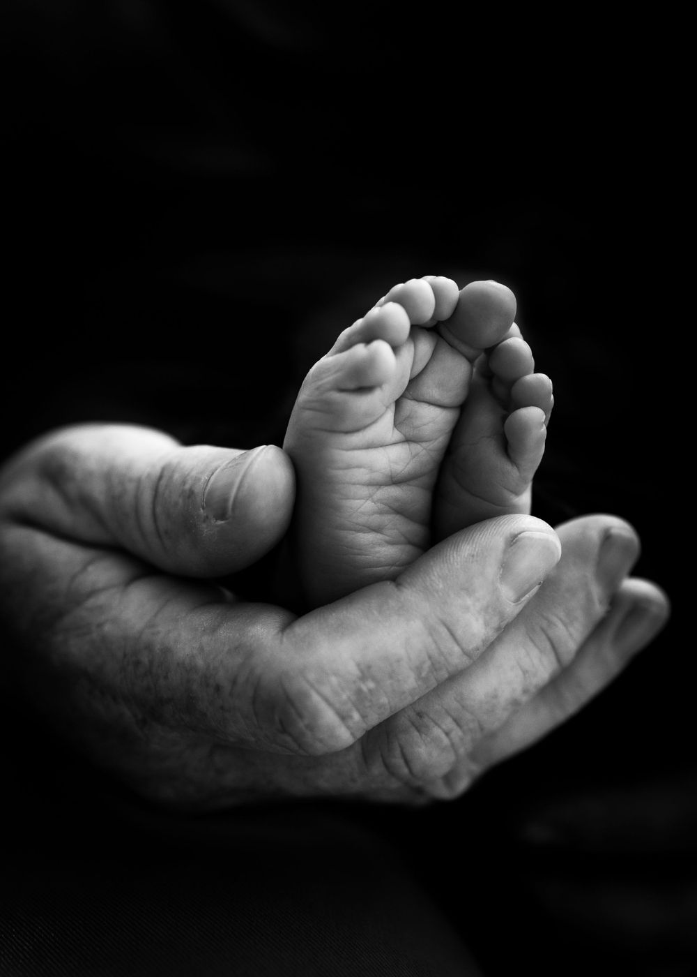 Black and white close-up of tiny baby foot cradled in adult hands.