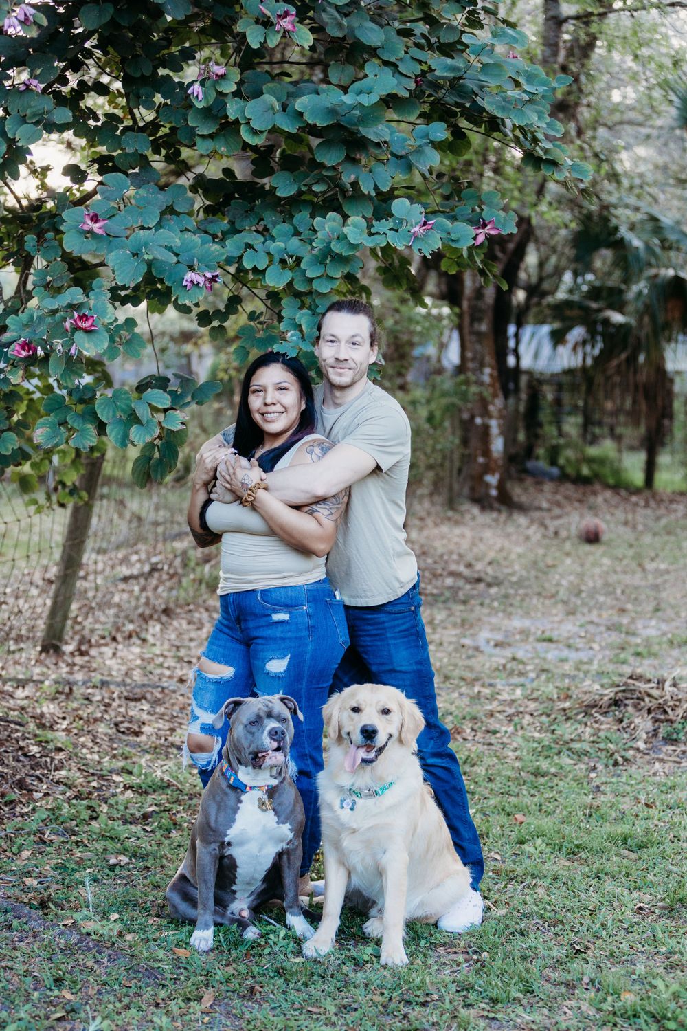 A happy couple poses with their two dogs, a grey pitbull and golden retriever, under flowering trees.