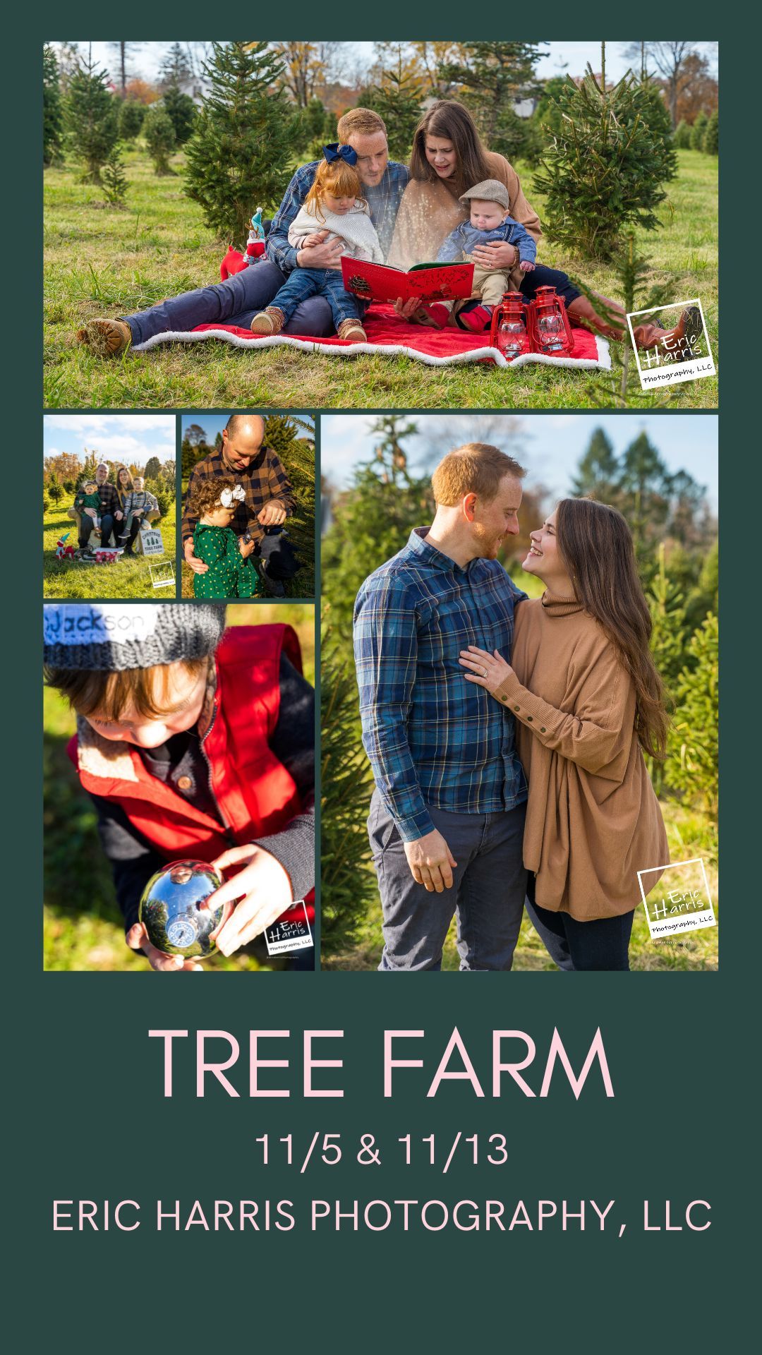 Watson Tree Farm photoshoot, Warrington PA