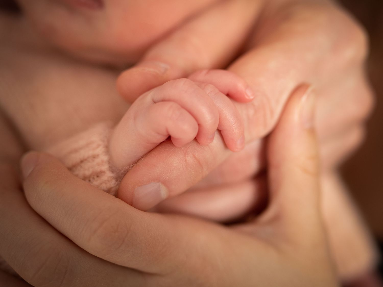 Family photography picture of mom's, dad's and newborn's hand.