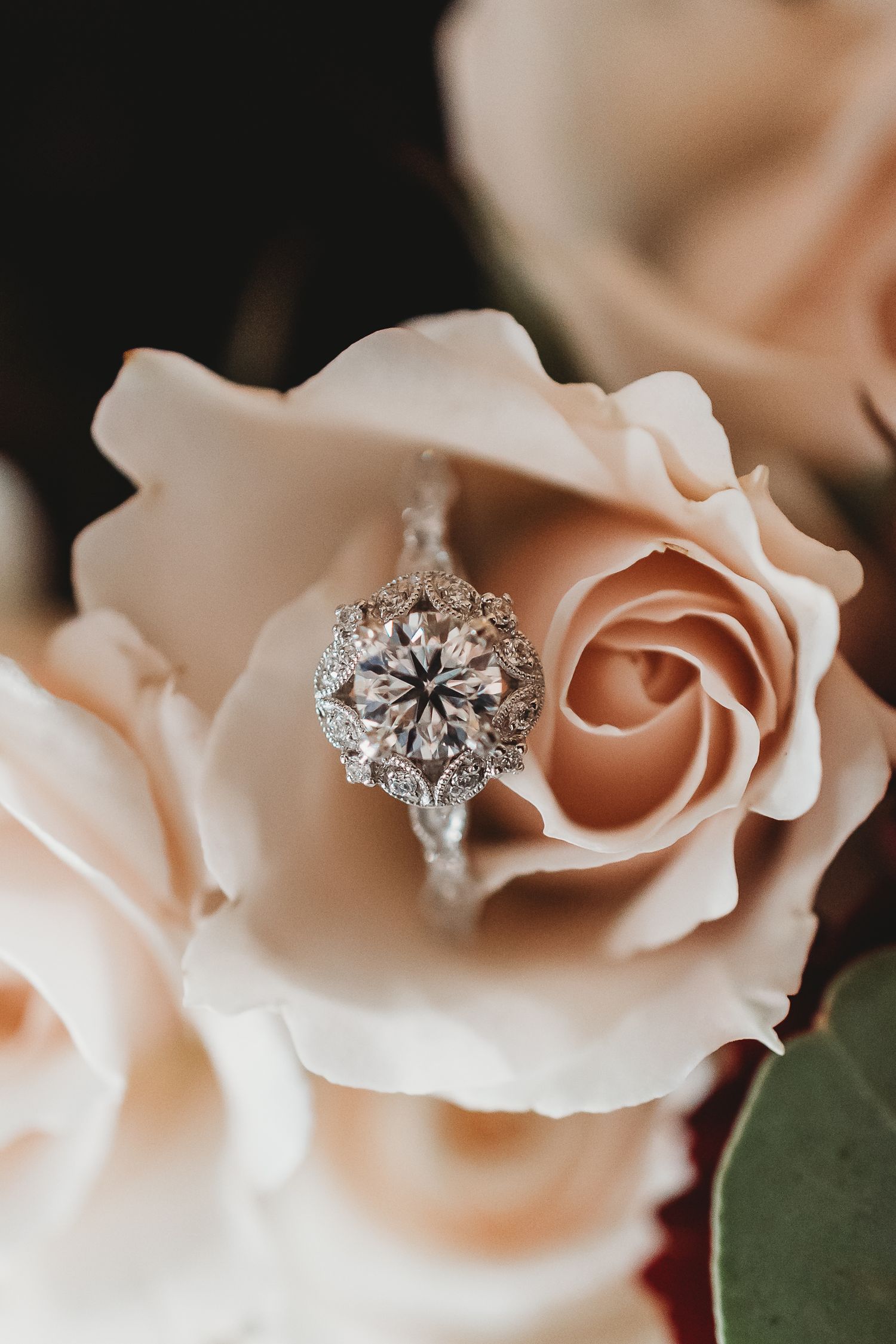 elopement, wedding, sparta, wisconsin, photographerwedding photographer, wisconsin photographer, Amanda Clark, Manda Mae