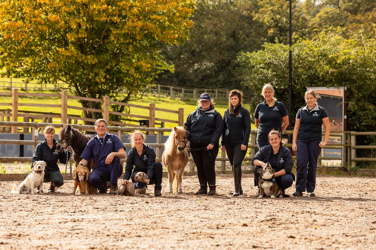 Group photo of veterinary staff with horses outdoors on sunny autumn day.