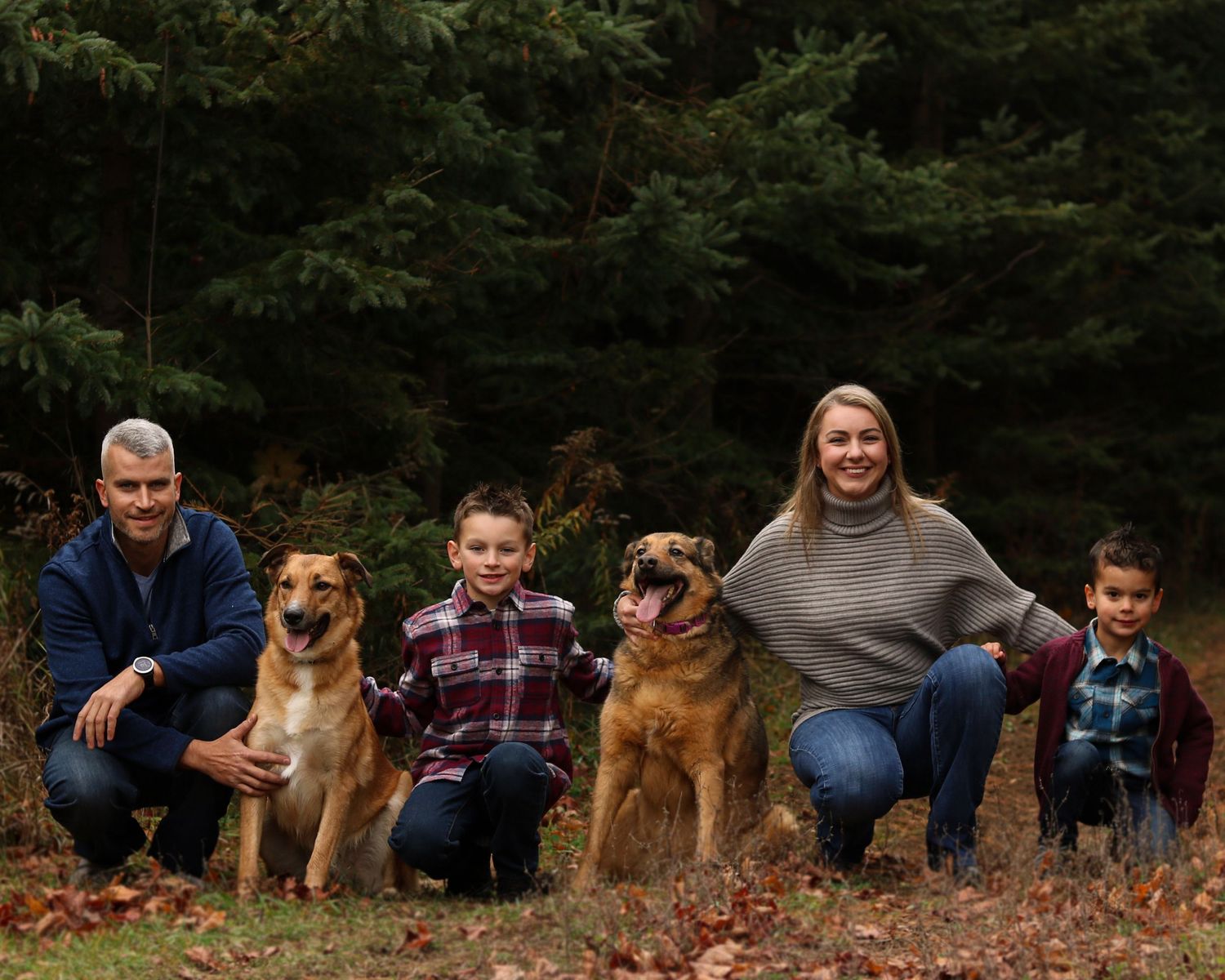 A Family of 4 with their 2 dogs in the forest