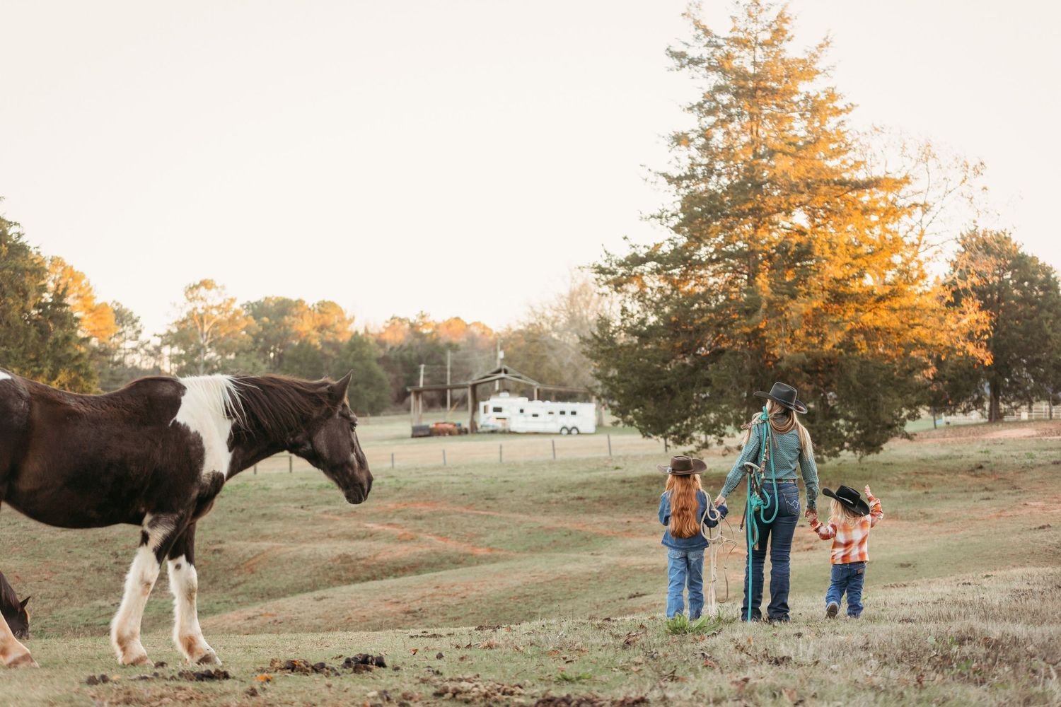 Family walking away with horse. Greenville sc newborn photographer, Easley sc newborn photographer, Upstate sc newborn photographer