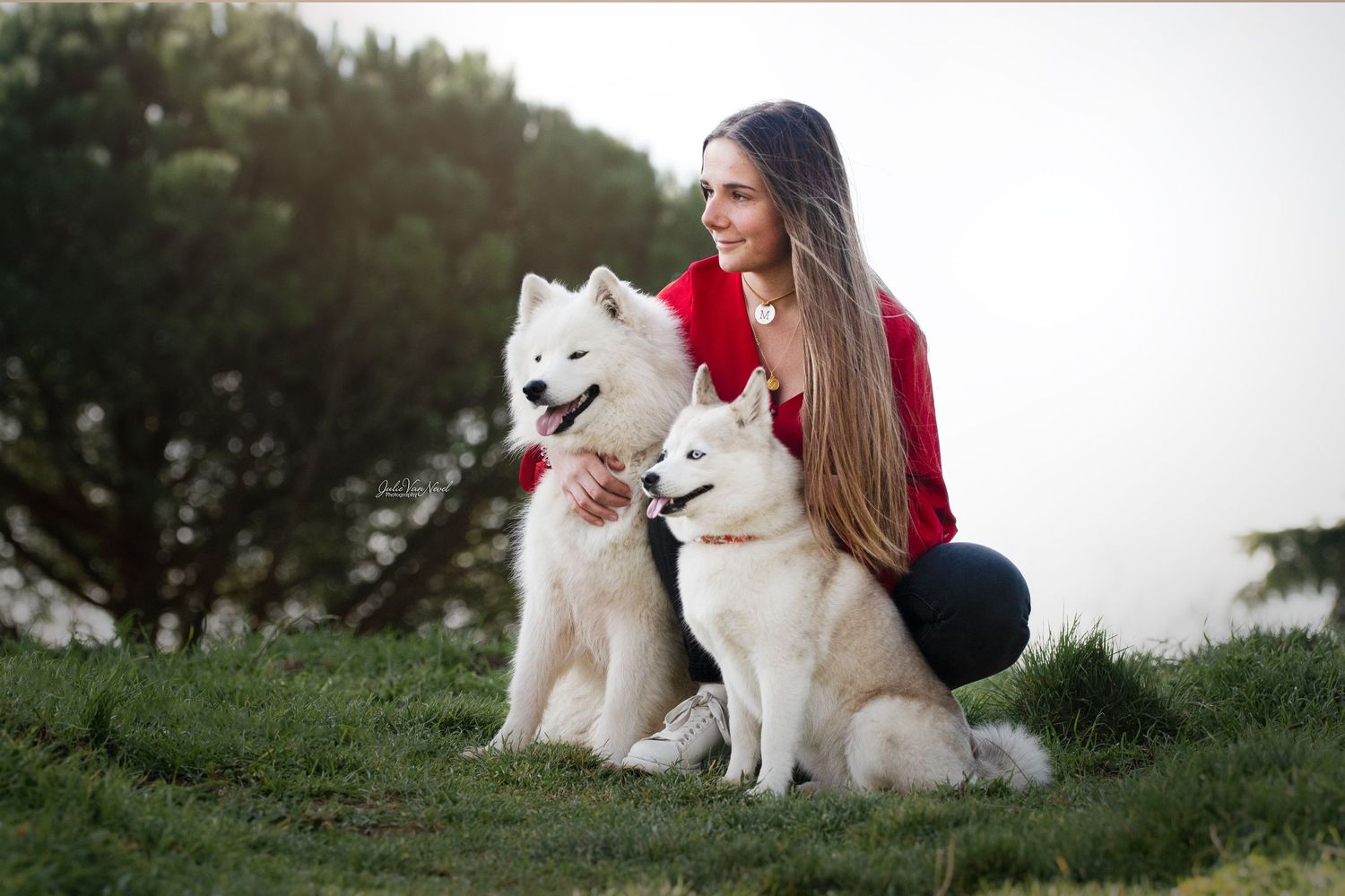 chiens avec leur maitre